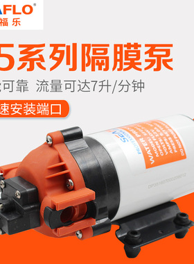 35系列隔膜泵直流交流往复式自吸压路机水泵SFDP1-018-080-35