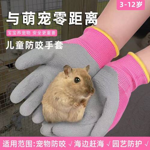 宠物喂养赶海园艺防护儿童手套