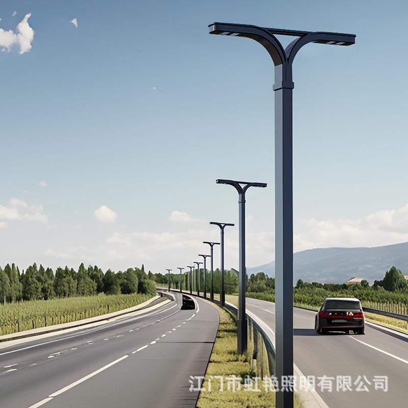 户外高杆照明灯庭院灯市电路灯小区广场道路园区商业街双臂景观灯