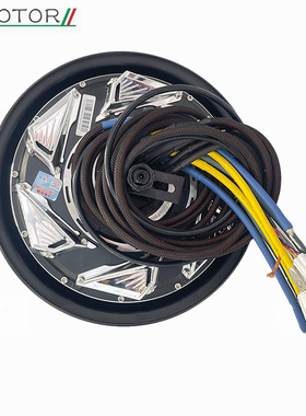 QSMOTOR全顺电机12寸5000WP45H纪念款瓦片版48-96V电摩电动车电机