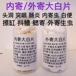 大白片鱼药水族鱼用头洞凸眼腹水内寄外寄大白片擦缸抖鳍白点