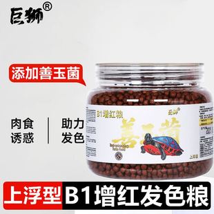 发色龟粮专用善玉菌饲料增色增红发色亮色固甲火焰龟幼龟上浮粮