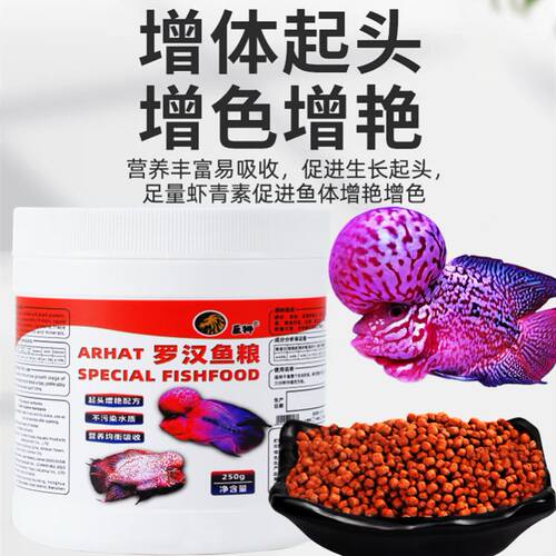 巨狮罗汉鱼饲料起头增色专用攻头爆头鱼粮高蛋白小颗粒罗汉幼鱼粮