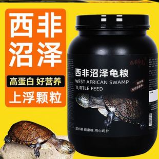 西非沼泽侧颈龟专用龟粮侧颈龟饲料仰泳龟深水蛋种网红龟苗高钙粮