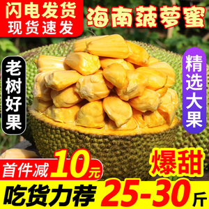 海南当季菠萝蜜新鲜水果包邮黄肉波罗菠萝蜜一整个水果整箱红肉