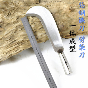 德国进口铬钢户外农用修枝园林劈柴刀蔑竹刀不锈钢手工锻打树刀勾