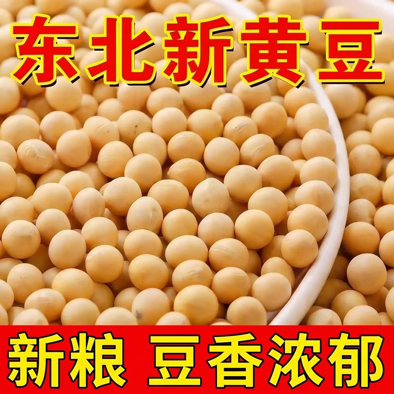 东北黄豆新货农家自种批发