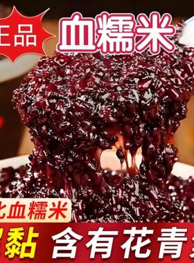 血糯米黑米新米正宗东北商用锅巴五谷杂粮5斤酒酿奶茶糯紫米米糕