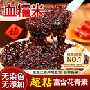 血糯米黑米新米正宗东北商用锅巴五谷杂粮5斤酒酿奶茶糯紫米米糕