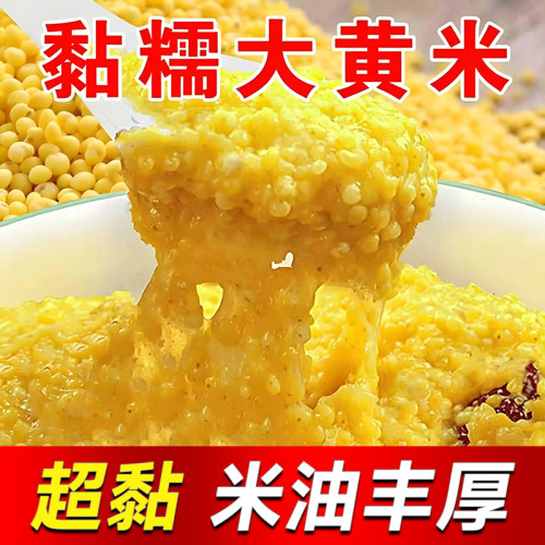 正宗东北大黄米粘糯黍米粘米饭