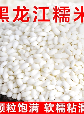 圆粒纯糯米粘大米五谷白江米黏米包粽子珍珠糙米籼米糯米饭粽子糯