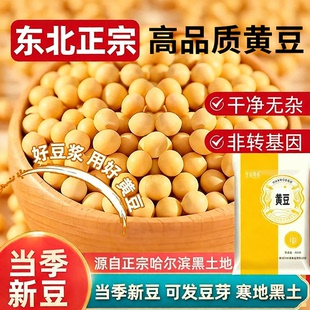 黄豆东北大豆打豆浆专用农家自种批发干货腐竹专用大粒做豆腐5斤