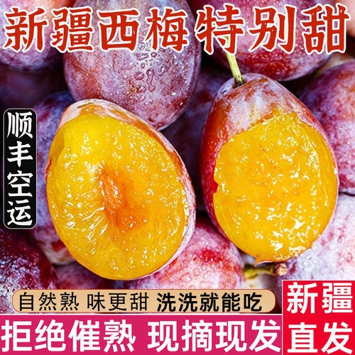 新疆蓝蜜甜西梅现摘直发顺丰包邮