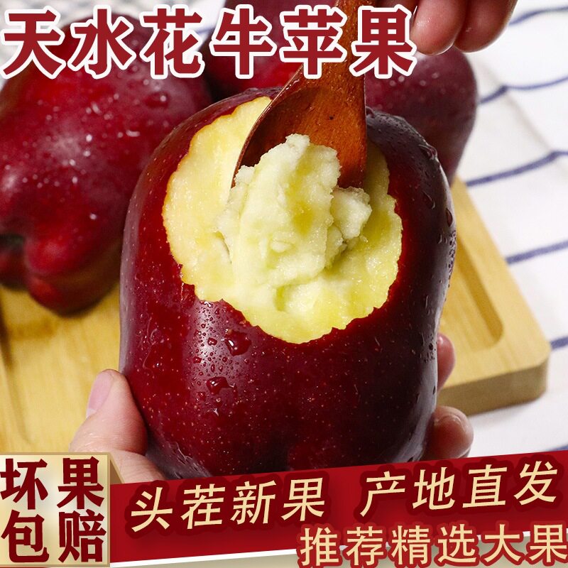 甘肃天水花牛苹果新鲜香甜包邮