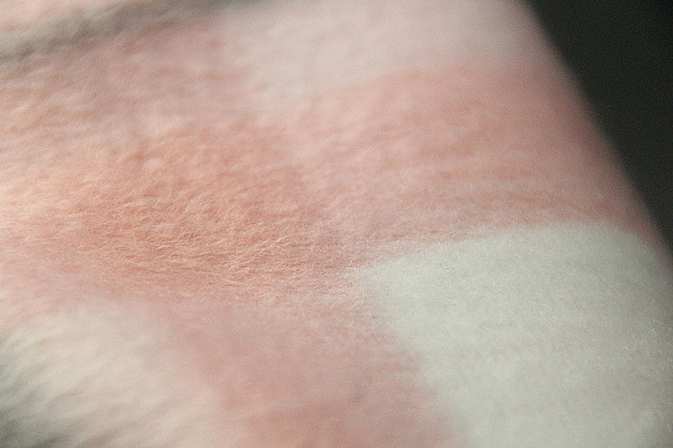 Pantalon pyjama jeunesse - Ref 721773 Image 4