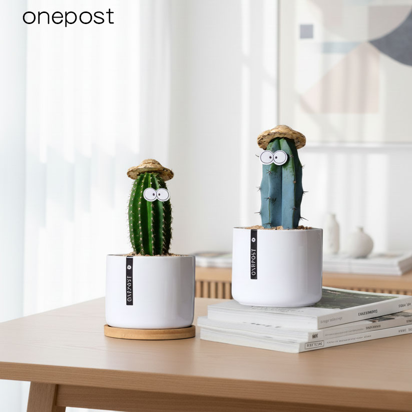 创意老乐柱万重山先生大凤龙植物