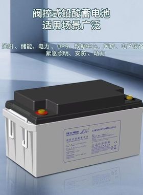 理士DJM1265S免维护蓄电池12V65AH直流屏UPSEPS电源消防通讯主机