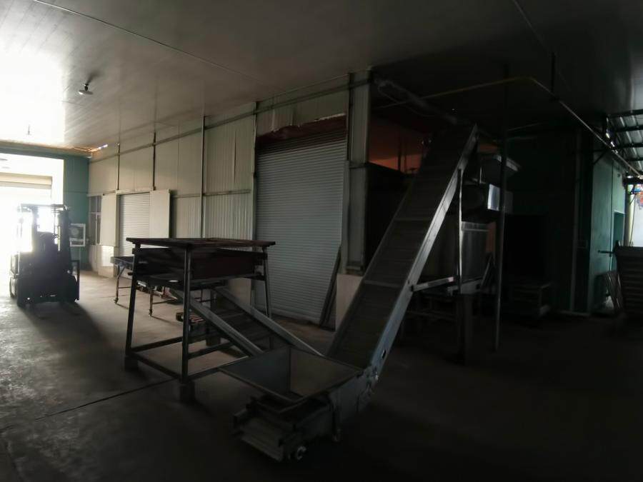 5月6日杭州市食品厂名下仓储用地及仓储用地地上建筑物、构筑物及其他辅助设施、苗木、机器设备、办公及电子设备等网络拍卖公告