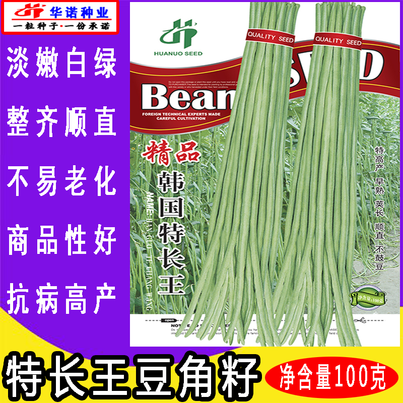韩国特长王豆角豇豆种子四季豆芸豆菜豆爬藤蔬菜种子四季种菜春播