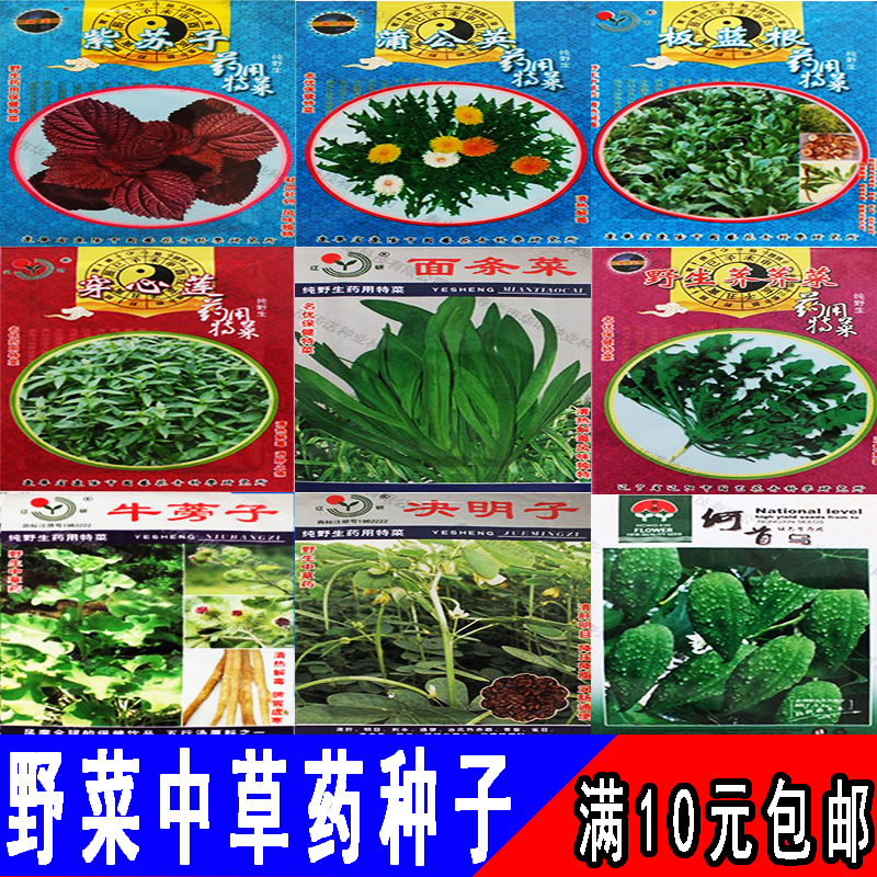 野菜种籽中草药人参面条菜荠菜蒲公英板蓝根何首乌蔬菜种子四季播