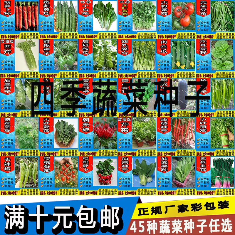 农家蔬菜种子四季播种田园菜园阳台种菜夏播菜籽套餐香菜青菜韭菜