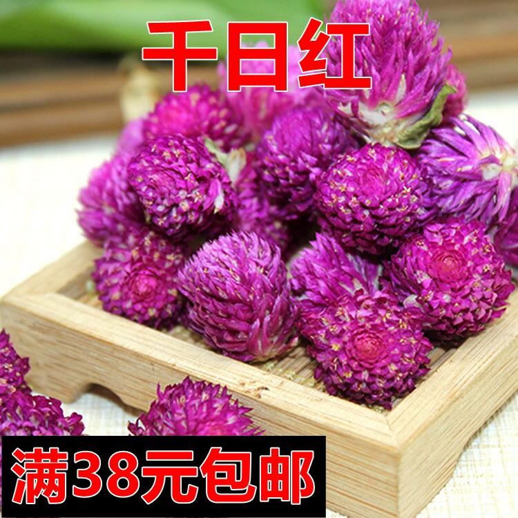 中药材特级千日红花茶