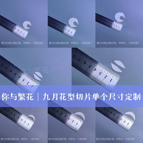 你与繁花-九月花型切片单个尺寸一包350g定制 手捧花