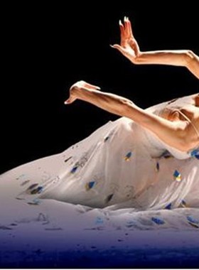 新选白色孔雀裙杨丽萍孔雀舞蹈演出服傣族服装孔雀裙Y服装孔雀舞