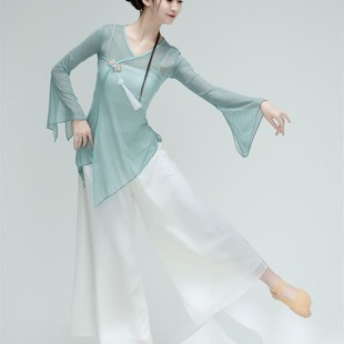 优选古典b舞蹈服女 演出服练功服身韵纱衣艺考基训蟹壳青 飘逸服装