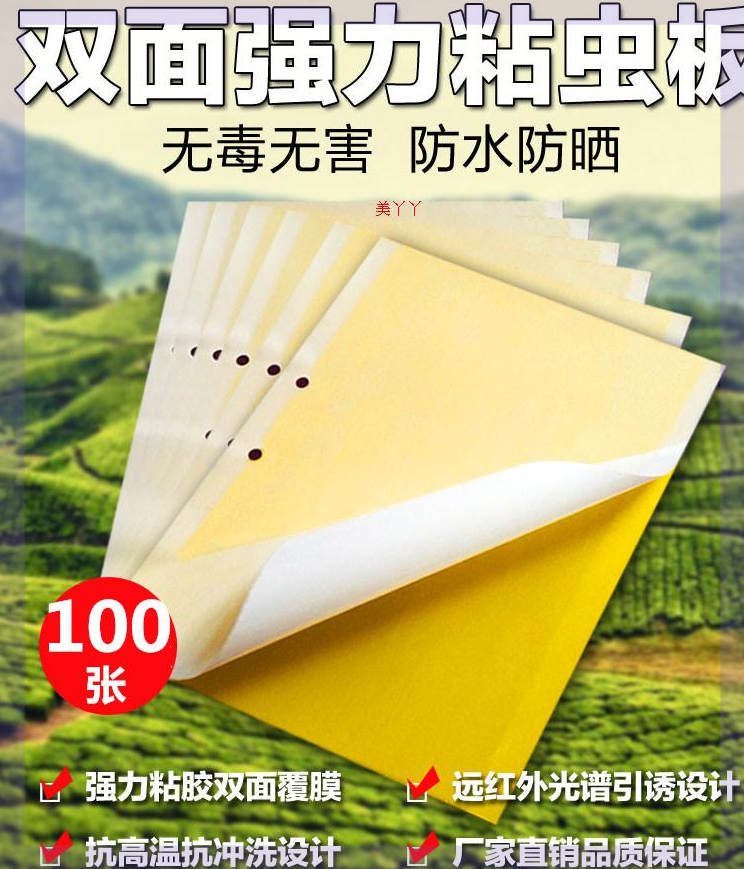 虫果纸蝇大棚杀双面蓝色沾板黄粘虫板板蚊子黄板诱虫黑虫灭小贴飞|ruв категории доставка цветов/цветок моделирования/растения садоводства, садовых принадлежностей, других садовых принадлежностей - от Buy2taobao.com для оказания профессиональной услуги покупки агента Taobao