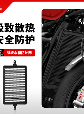 适用凯旋T120 T100街双Speed Twin 900/1200改装水箱网保护网护罩