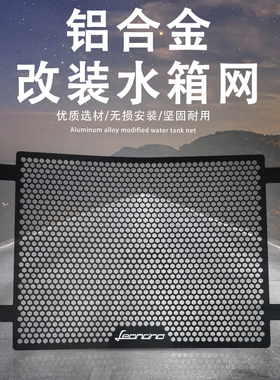 适用贝纳利Leoncino幼狮800改装水箱网防护罩散热器保护网配件