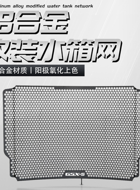 适用铃木GSX-S1000Y/Z/FZ/FT/F/GT改装水箱网散热器保护网罩配件