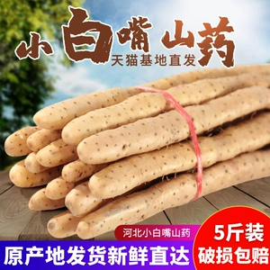 [山药新鲜5斤新铁杆山药毛薯小白嘴铁棍淮山麻山药铁棒怀山药包邮]