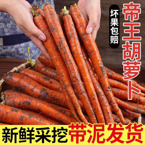 山东新鲜帝王脆甜胡萝卜带泥发货农家直供现挖蔬菜生吃坏果包赔