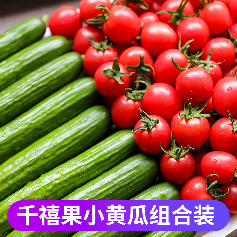 水果黄瓜新鲜生吃混合千禧小番茄西红柿圣女果切补水蔬菜沙拉