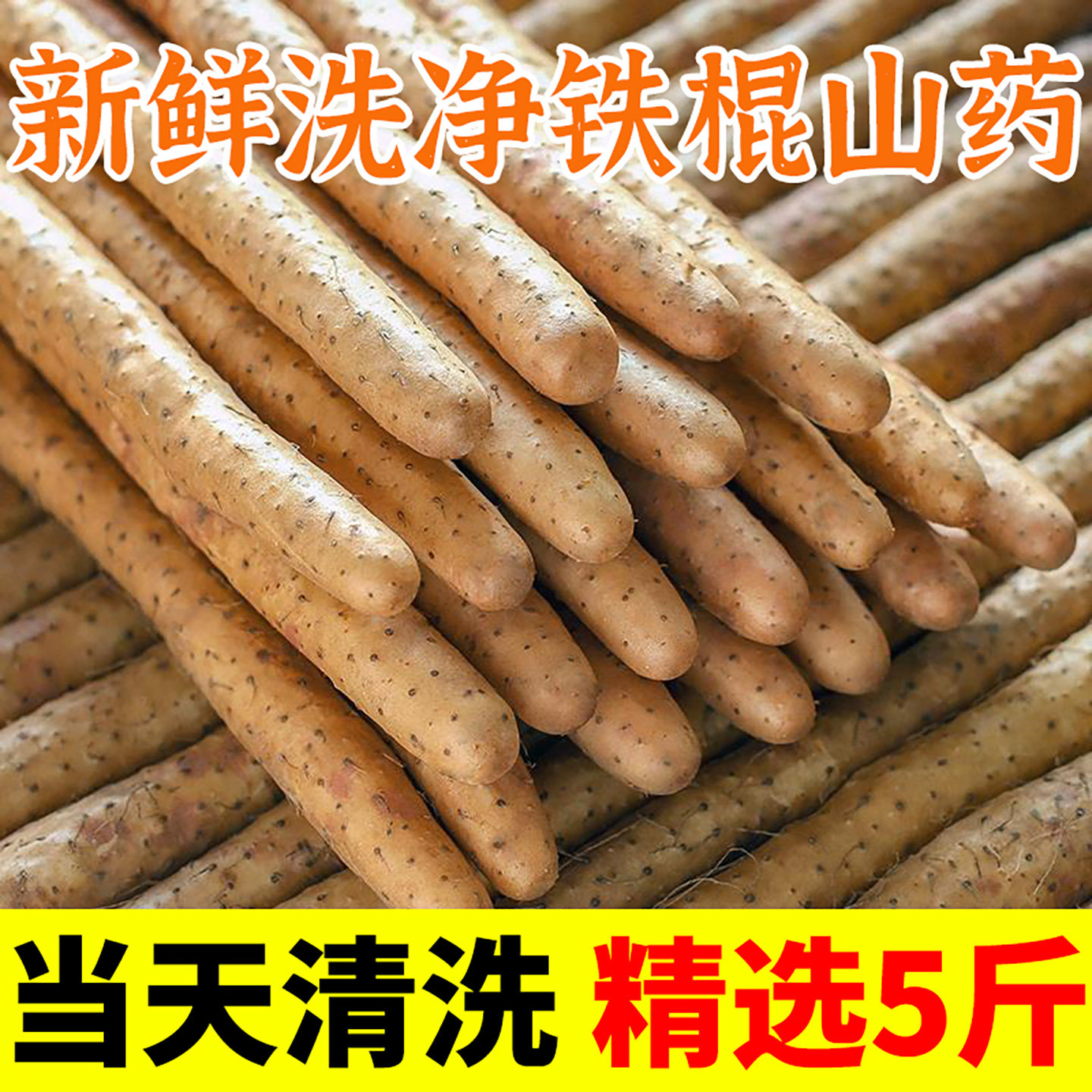 【洗净无土】小白嘴山药新鲜5斤蔬菜包邮铁杆淮山铁棍山药旗舰店,水产肉类/新鲜蔬果/熟食,新鲜山药,淘宝优惠券,粉丝福利购,淘宝优惠卷