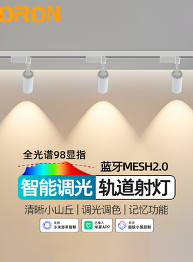 智能小山丘轨道射灯led导轨背景墙服装明装已接入米家App轨道灯
