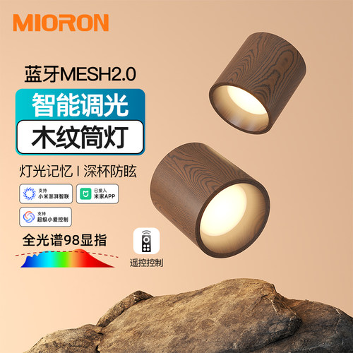 智能中古风明装筒灯深杯防眩客厅圆形过道小吸顶灯已接入米家APP