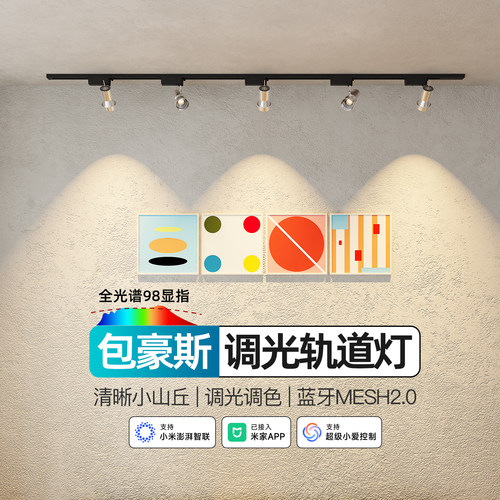 中古包豪斯智能轨道灯无极调光工业风咖啡厅导轨店铺小山丘射灯