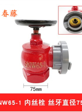 室内旋转减压消火栓 SNZJ65三铜消防水龙头2.5寸消防器材消防栓