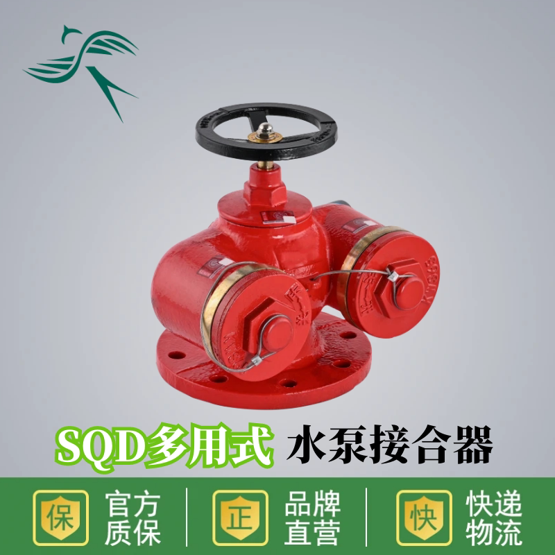 多用式地上水泵接合器sqd100-1.6新式消防室外150新型止回 安全阀