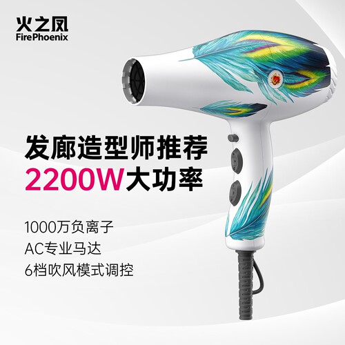 火之凤吹风机负离子护发8960家用