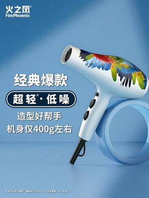 火之凤吹风机5600A发型师专用超轻低噪音发廊大功率理发店造型鹦