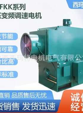 西安电机YJTF6306-6极2500W6V高压变频三相异步电动机厂