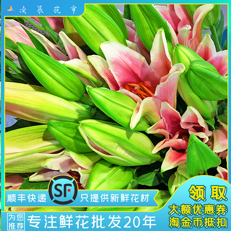 粉百合鲜花水养家用插花办公送礼花束低价直批包邮北京同城可闪送