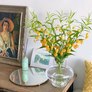 日本宫灯百合进口鲜花春明媚鲜花家庭办公室鲜花花束顺丰包邮北京