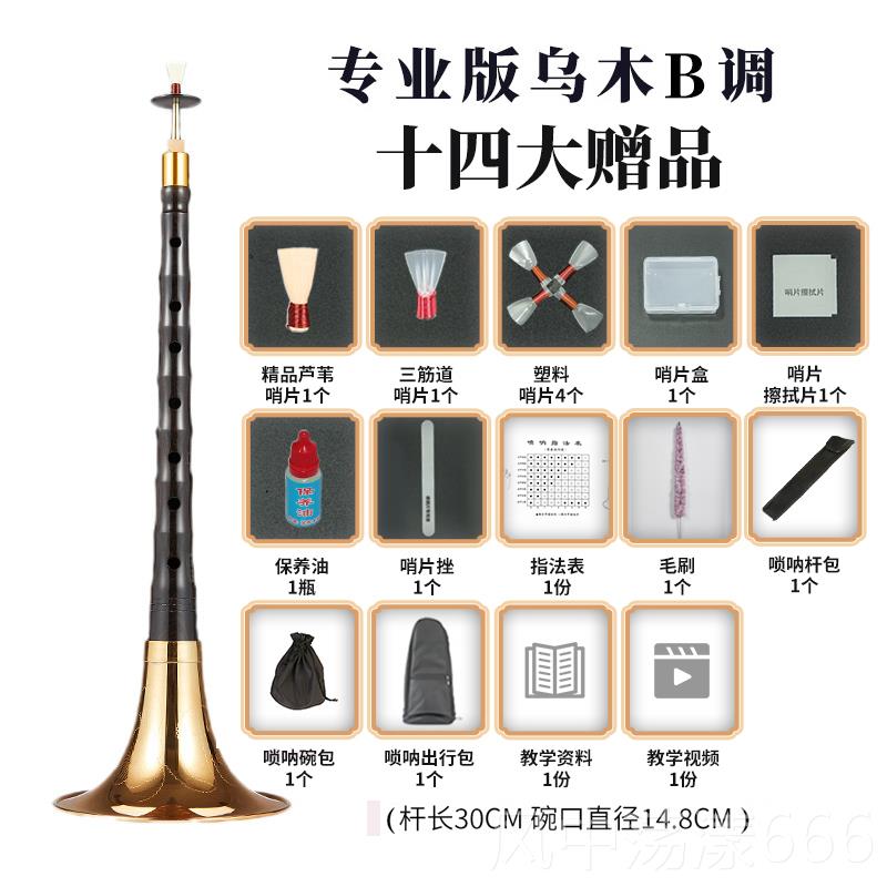 正品新艺 唢呐乐器全套初者学成人专业演奏乌木D调降调B叭民间喇