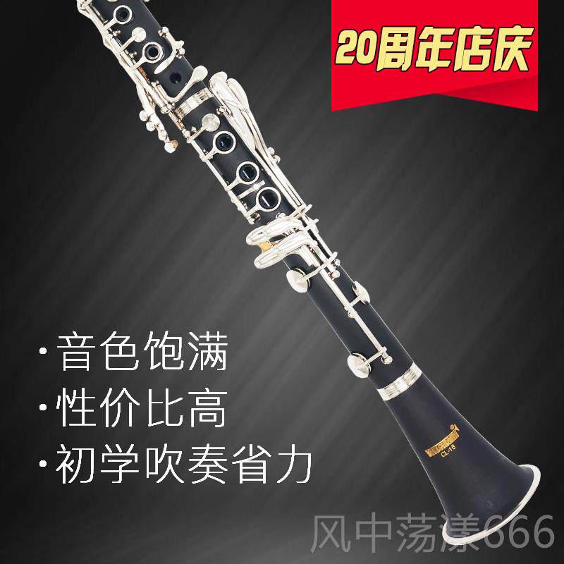 正品OUNGb阳歌单簧管黑管降调乐器YCL-16学生成人初学Y考演级奏包