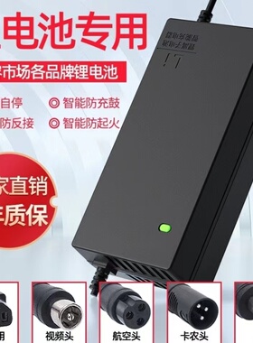 锂电池电动车充电器48V36VDC头V24V2ADC头电车锂离子充电器通用